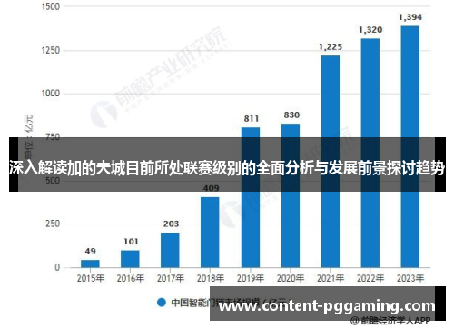 深入解读加的夫城目前所处联赛级别的全面分析与发展前景探讨趋势