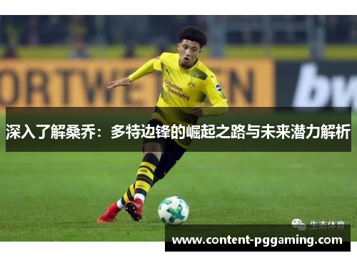 深入了解桑乔：多特边锋的崛起之路与未来潜力解析